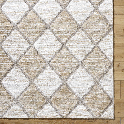 Aideen Cream Shag Area Rug