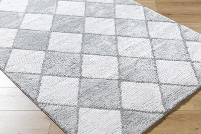 Aideen Gray Shag Area Rug