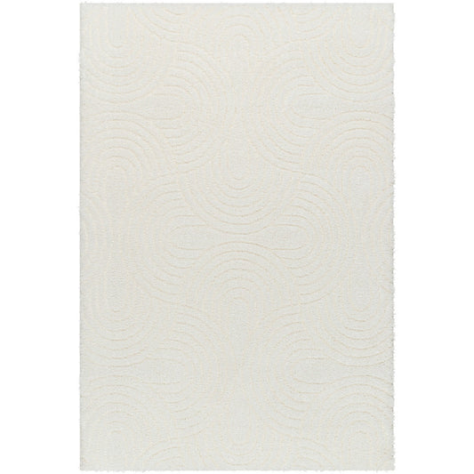 RUNA Shaggy Modern Plush Pile Light Beige/Ivory Area Rug Flat