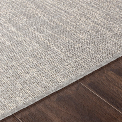 SHELBY Indoor & Outdoor Modern Light Grey/Beige Area Rug