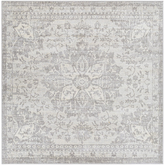 SAGE Vintage Traditional Oriental Boho Medium Grey Area Rug Flat