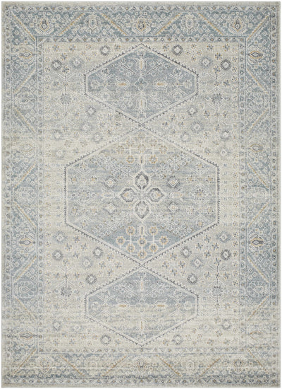 Sample Nydia Blue Medallion Area Rug