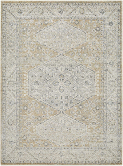 Sample Nydia Beige Medallion Area Rug