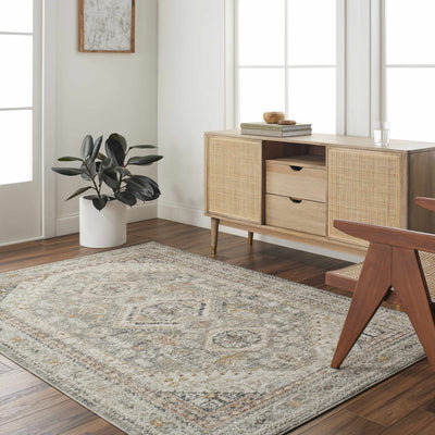 Sample Jaime Area Rug