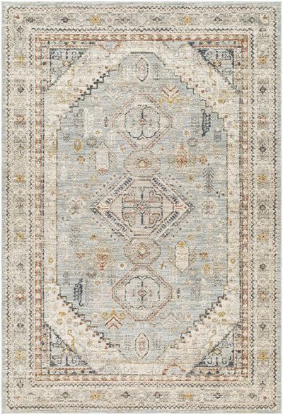 Sample Kouta Gray Blue Area Rug