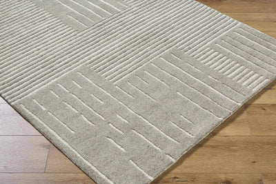 Akuji Area Rug