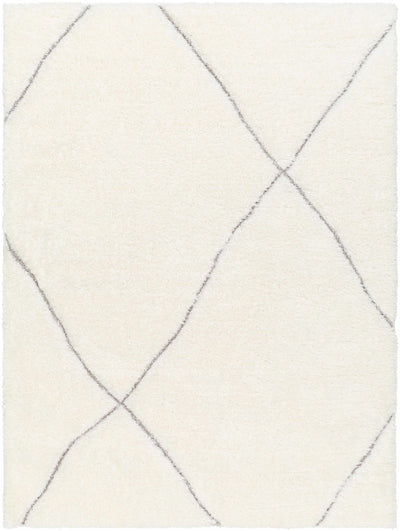 Sample Aizza Area Rug