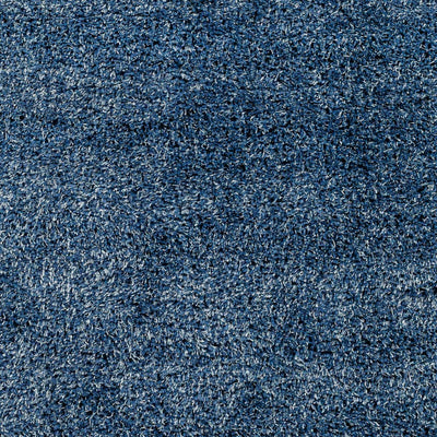 Sample Bluma Blue Area Rug