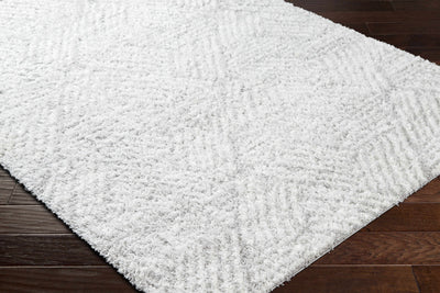 Mura Gray Area Rug