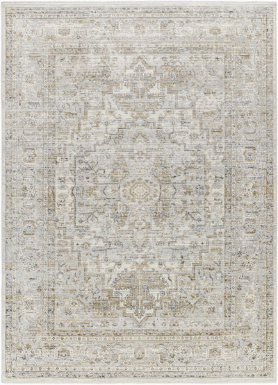 Sample Kazou Gray Medallion Area Rug