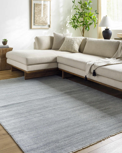 Powa Gray Area Rug