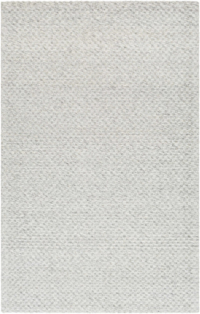 Sample Kassa Gray Hand Woven Area Rug