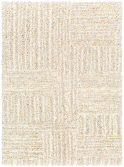 Sample Arich Beige Plush Area Rug