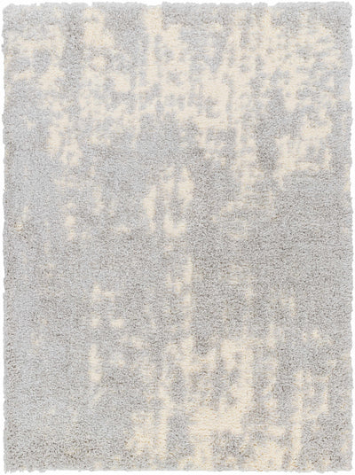 Sample Edzia Gray Plush Area Rug