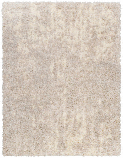 Sample Edzia Beige Plush Area Rug