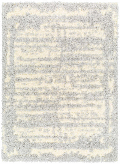 Sample Gidja Gray Plush Area Rug