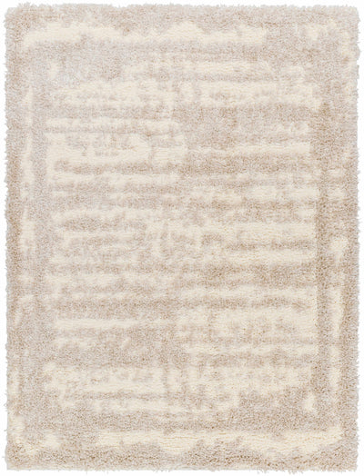 Sample Gidja Beige Plush Area Rug