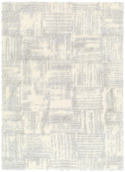 Sample Iduia Gray Plush Area Rug