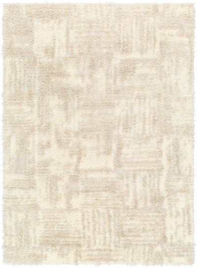 Sample Iduia Beige Plush Area Rug