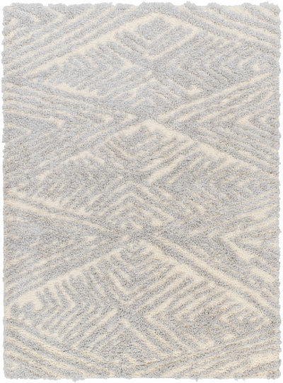 Sample Ioana Gray Plush Area Rug