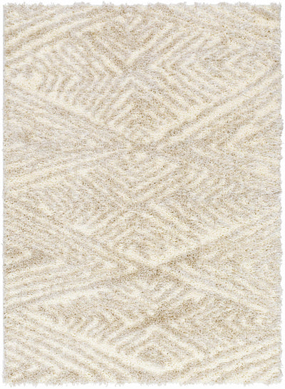 Ioana Beige Plush Area Rug