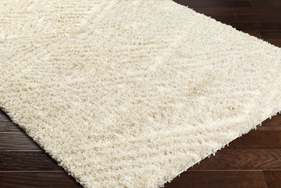 Sample Ioana Beige Plush Area Rug