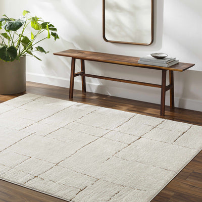 Sample Koume Ivory & Brown Area Rug