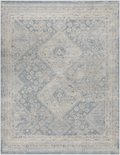 Sample Sagen Blue Medallion Area Rug