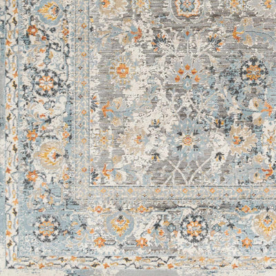 Sample Finn Silver Blue Area Rug