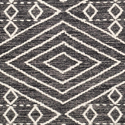 Sample Skedee Area Rug