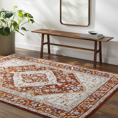 Sample Jeong Rust Area Rug