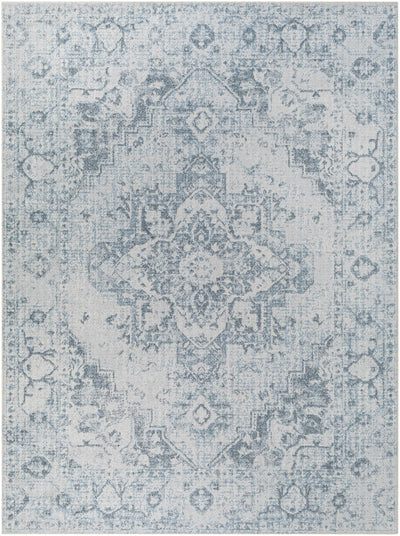 Sample Ankti Aqua Washable Area Rug