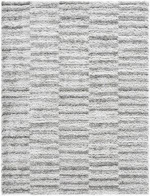 Anevay Dark Gray Area Rug