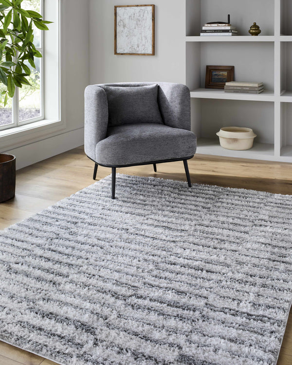 Anevay Dark Gray Area Rug