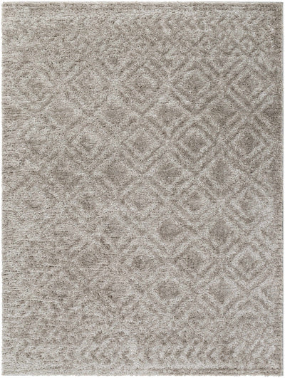 Sample Amnon Area Rug