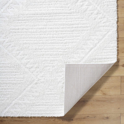 Edsel Off-White Area Rug