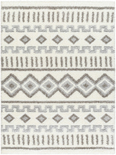 Sample Tevy Area Rug