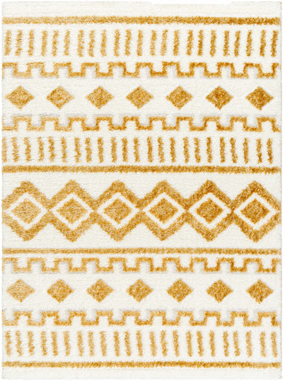 Sample Tevy Area Rug