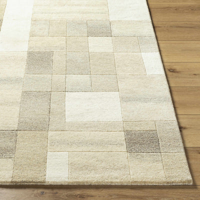 Sample Senga Area Rug