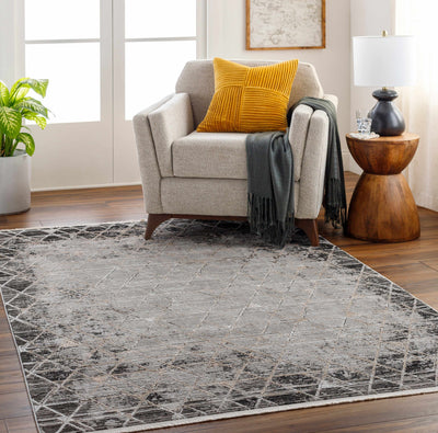 Sample Luol Gray Area Rug