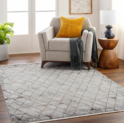 Sample Luol Light Gray Area Rug