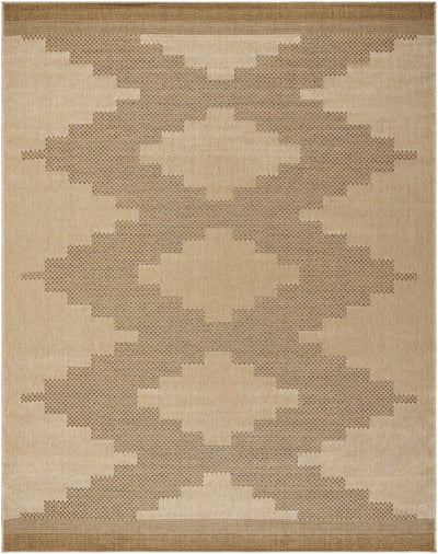 Colum Area Rug