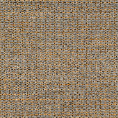 Sample Riki Gray Area Rug