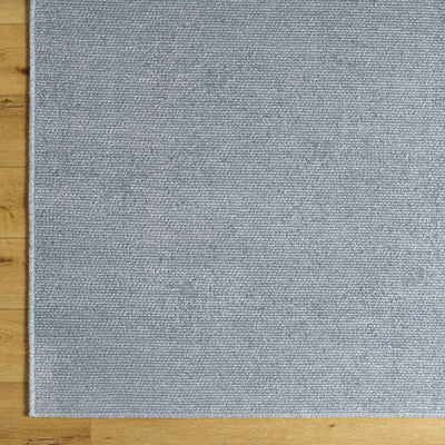 Sample  Isako Blue & Gray Solid Washable Area Rug