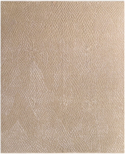 Sample Nitsa Area Rug