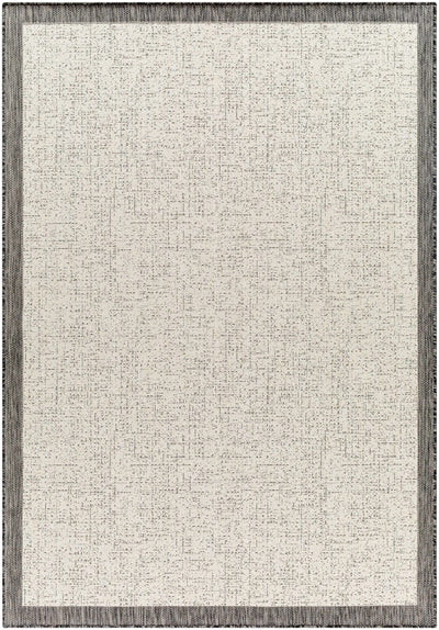 Sample Demas Gray & Cream Area Rug