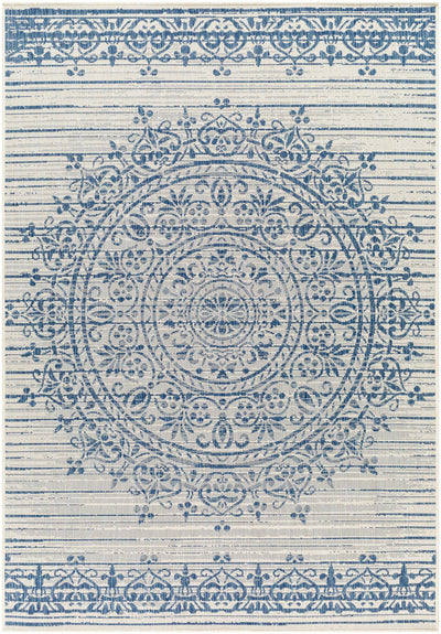 Sample Honza Silver Blue Area Rug