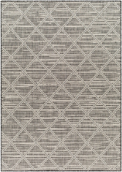 Sample Ivory Black & White Area Rug