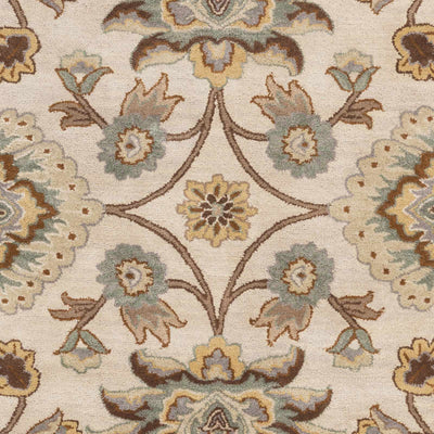 Sample Conesus Hand Tufted Tan 1012 Area Rug