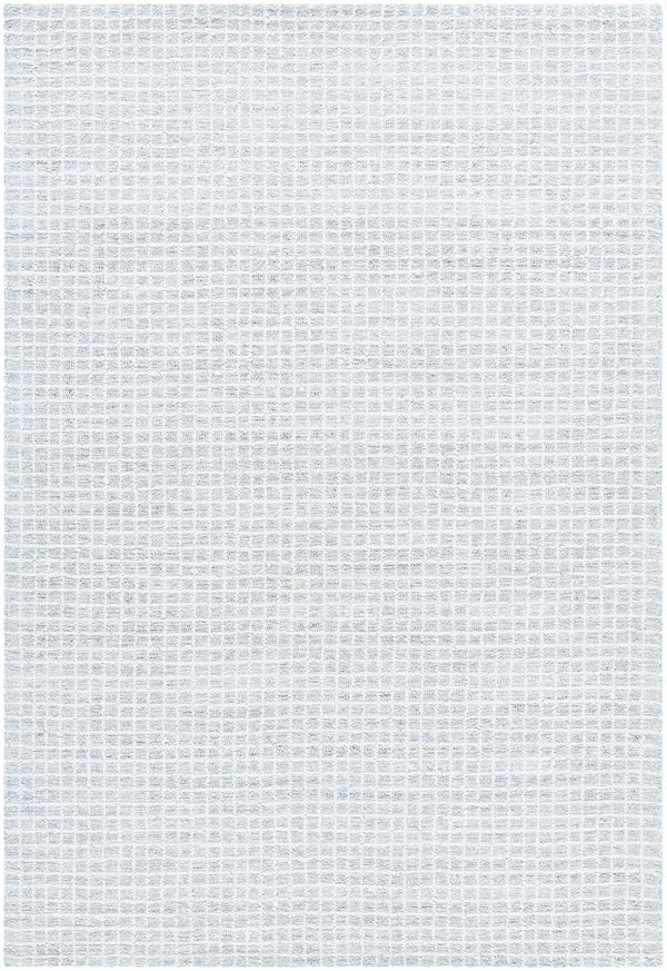 Anahid Light Gray Area Rug - Vivir x Livabliss